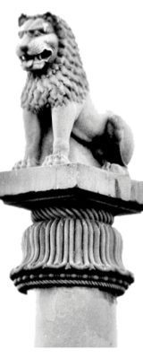 Ashoka Lion